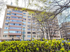 Sakura - One Bedroom Apartment - Next to Victoria Avenue and Cismigiu Park