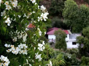 The Perfect Hideout Resort