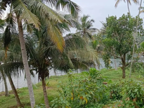 The Paro Homestay Ashtamudi