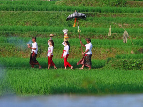 Madani Antique Villas