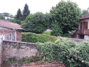 Les lierres