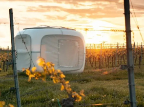 Romantik zwischen Weinreben - Cube