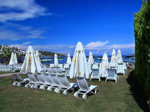 Cactus Mirage Family Club