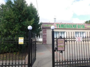 Tambovskij Volk Hostel