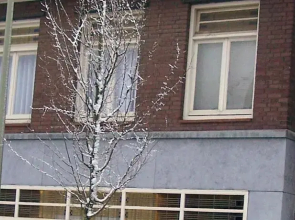 House Hommert Hoensbroek