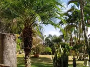 Espaço Villa Verde