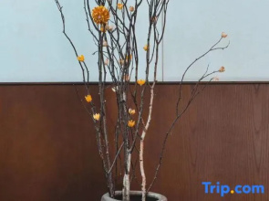 Tianlu Gucun Township Yun Homestay