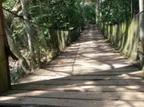 Shimiyacu Amazon Lodge