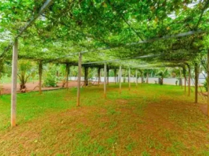 Manjaly Backwater Resort