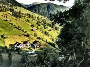 Carpatica Lodge