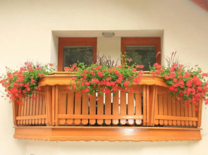 Apartment Natur