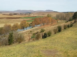 River Ridge