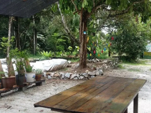 Titi Teras Village House