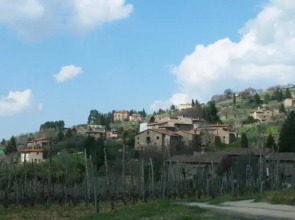 Fattoria di Lamole - Le Volpaie