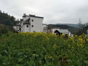 Jiangling flower village