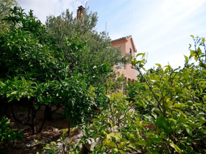 House Miroslav