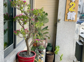 Kinmen House No.2