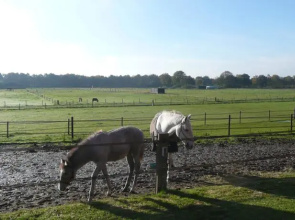 Slaopen En Stoet