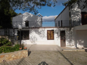 L'Albero Amico