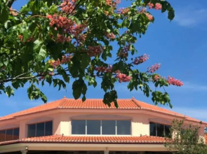 Quinta Dona Adelaide