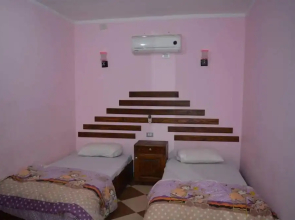 Oasis Fighting Kangaroo