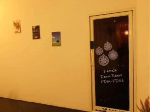 Finlay House - Hostel