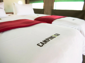 Etosha Safari Camping2Go