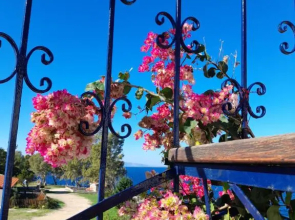 Sea View Perdika House