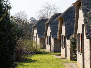 Bungalow in Veluwe Nature Park Retreat
