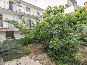 Apartments Drlja