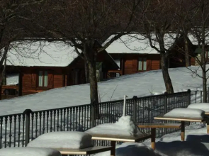 Hotel Viu