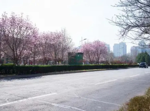 Henan Luoyang·Luoyang City Sports Center· Locals Apartment 00143000