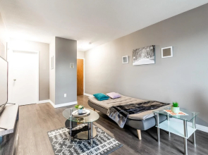 Cozy 1BR Apartment - Near DT Hamilton