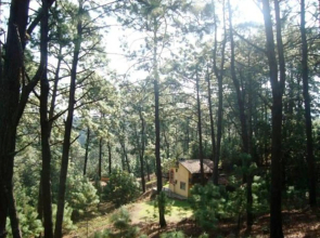 Cabañas El Pinar