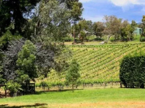 Australian Home Away@ Wonga Park Vue De Vin