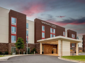 SpringHill Suites by Marriott Atlanta Alpharetta/Roswell