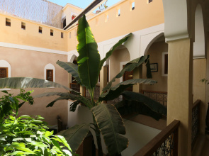 Riad Sidi Mimoune