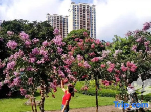 Wuzhou Business Hotel Beiliu