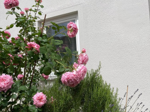 MIA Lifestyle Appartements