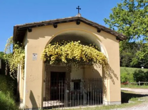 Antico Casal Del Bosco