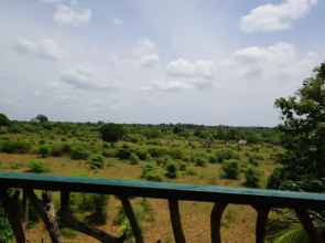Yala Eco Tree House