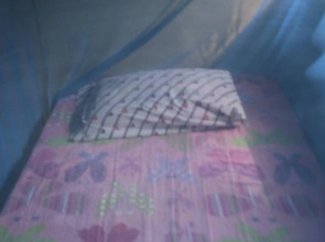 Ecological Jungle Trips & Amazon Lodge