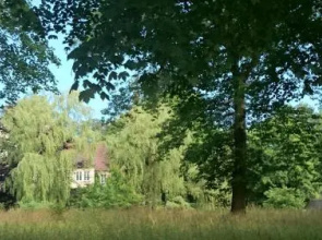 Schloss Nowecin