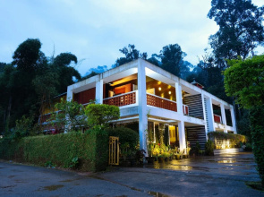 Falling Waters