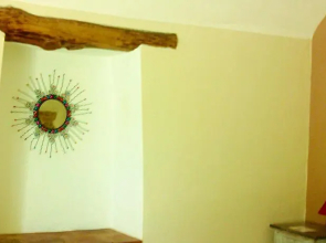 Albero del Kiri B&B di Natura e Benessere