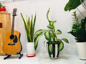 Private studio in hidden gem
