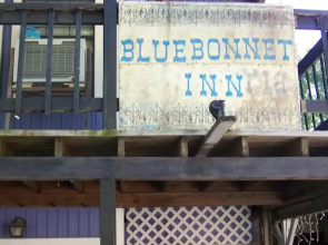 Bluebonnet Inn