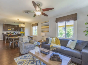 Chestnut Urban Home