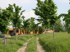 Carpathian Estate