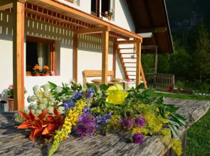 Soča Home With The View